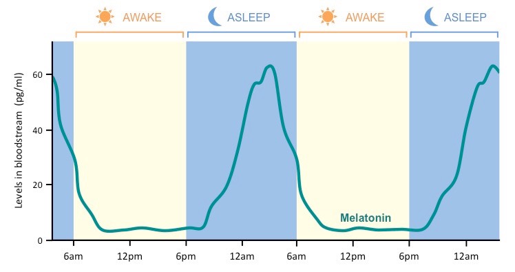 circadian-rhythm graph
